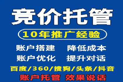 竞价广告的深度解析：以一知名品牌为例